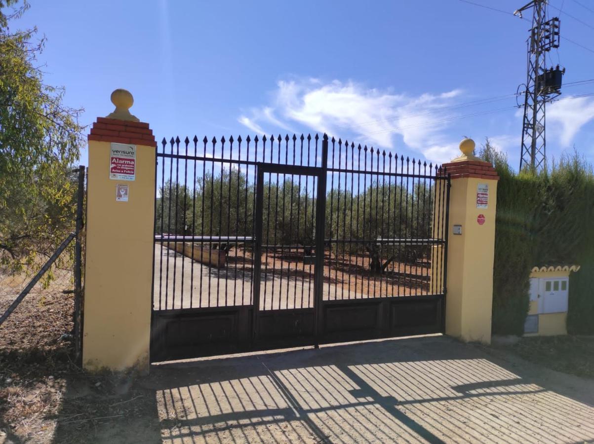 Los Abuelos Setenil De Las Bodegas Exteriör bild