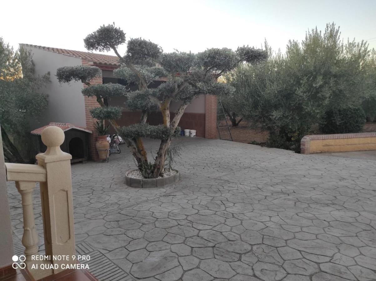 Los Abuelos Setenil De Las Bodegas Exteriör bild