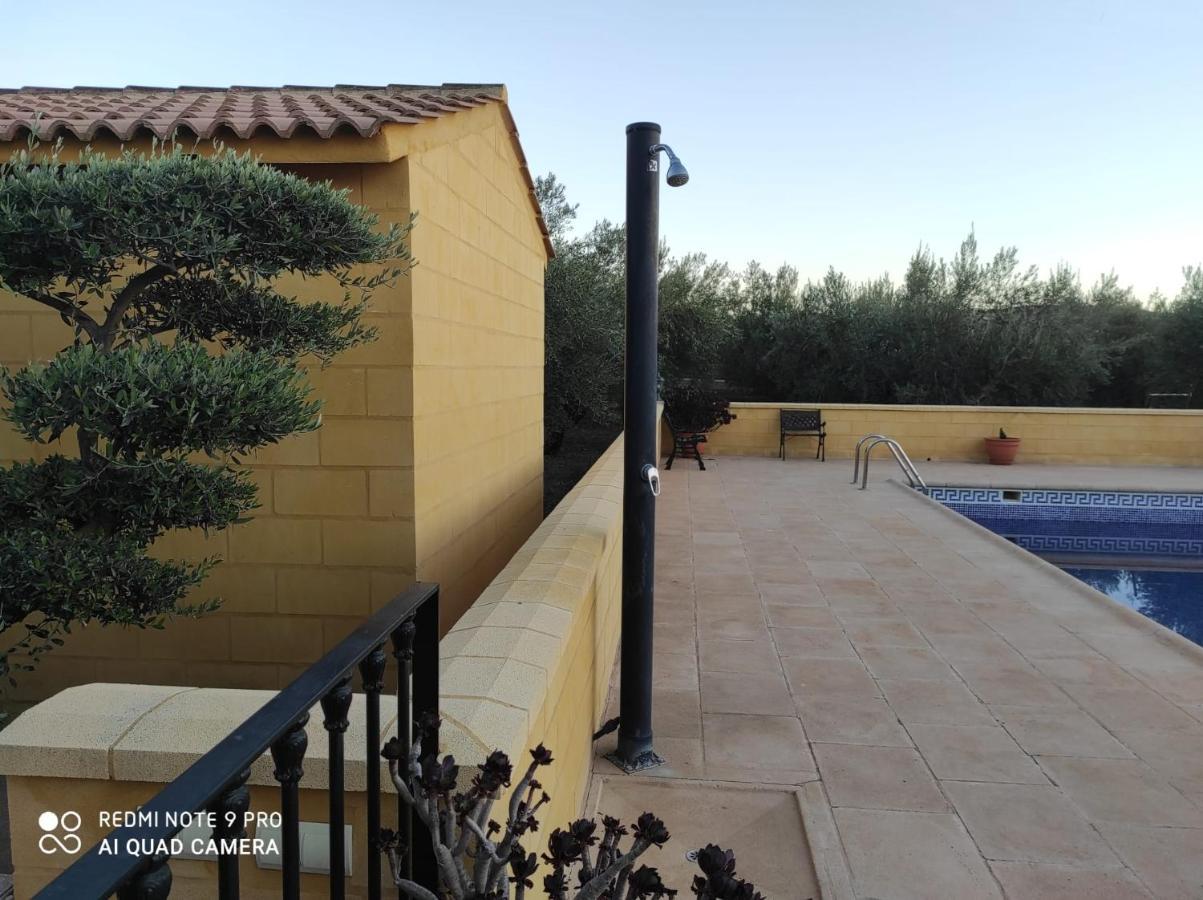 Los Abuelos Setenil De Las Bodegas Exteriör bild