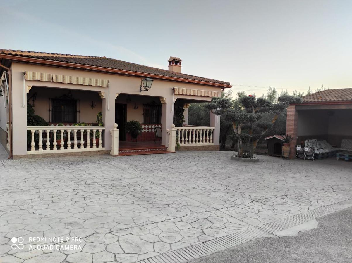 Los Abuelos Setenil De Las Bodegas Exteriör bild